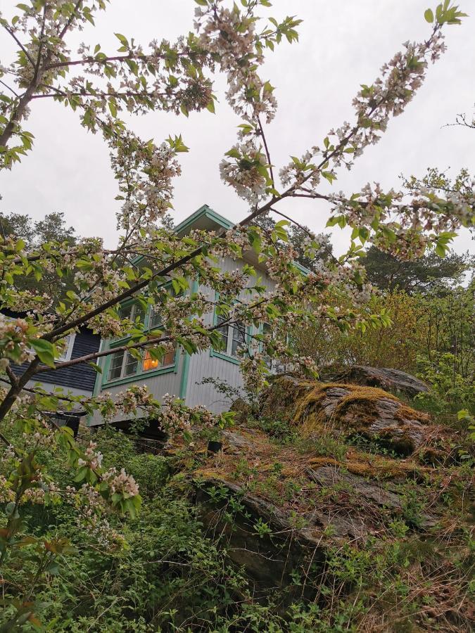 Lilla Stugan Göteborg Dış mekan fotoğraf